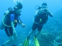 /album/bonaire-mergulho/img-1790-jpg/